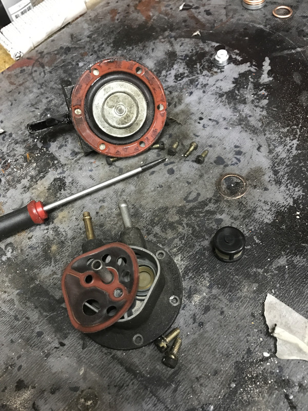 Restauration 4L (1303)