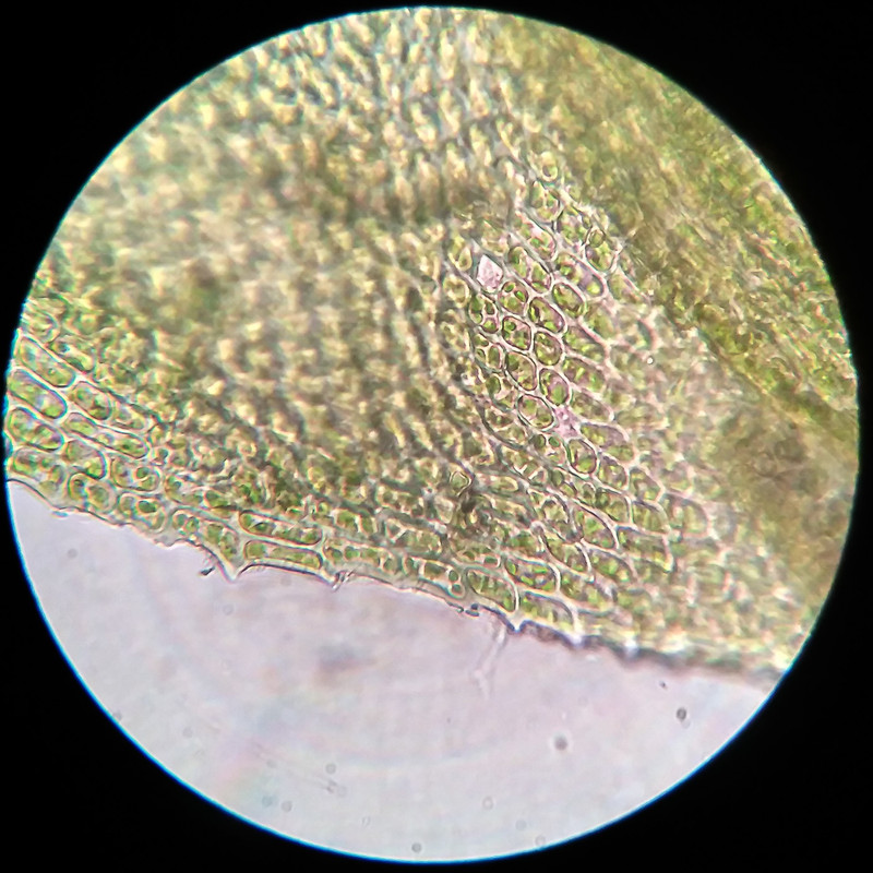 IMG 20250615 221242 HDR