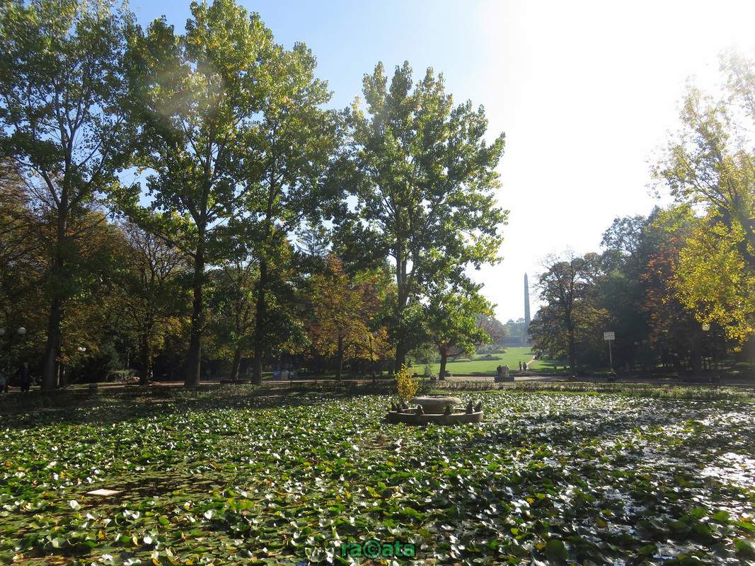 IMG 0163 — Postimages