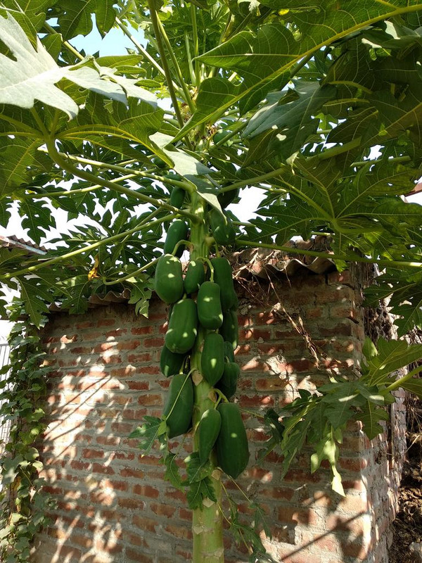 IMG-20181106-143010.jpg