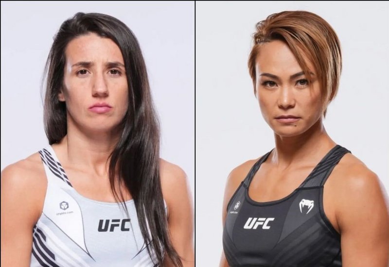 Марина Родригес срещу Мишел Уотърсън 2 на UFC Vegas 79