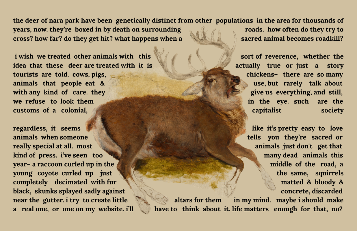 The sixth page of a zine titled 'the deer in nara are easy to love'.