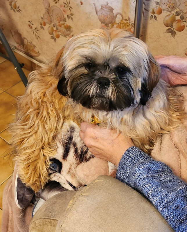 [Image: IMG-20240128-WA0004.jpg]