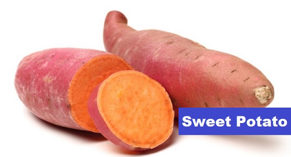 Can Parrots Have Sweet Potatoes