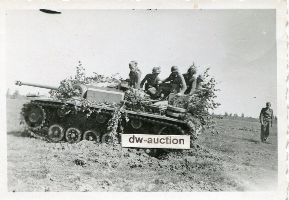 Sturmgeschütz Langrohr von Stug. Abt. 667