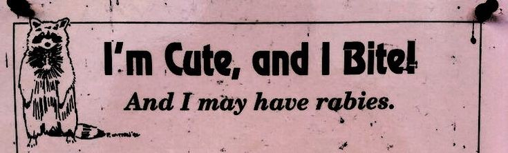 768ebf42e69c8f6ead4569b63399f551