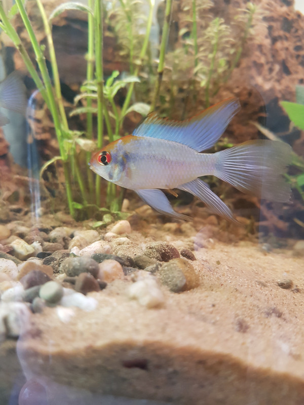 15351207405153716166594116282024