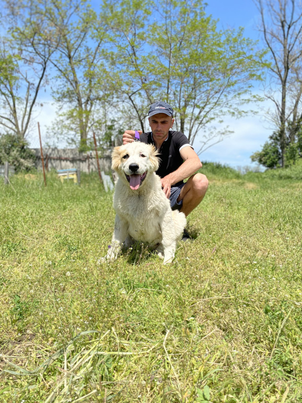 0E071568-0349-4A94-A751-A614E9B71FAD