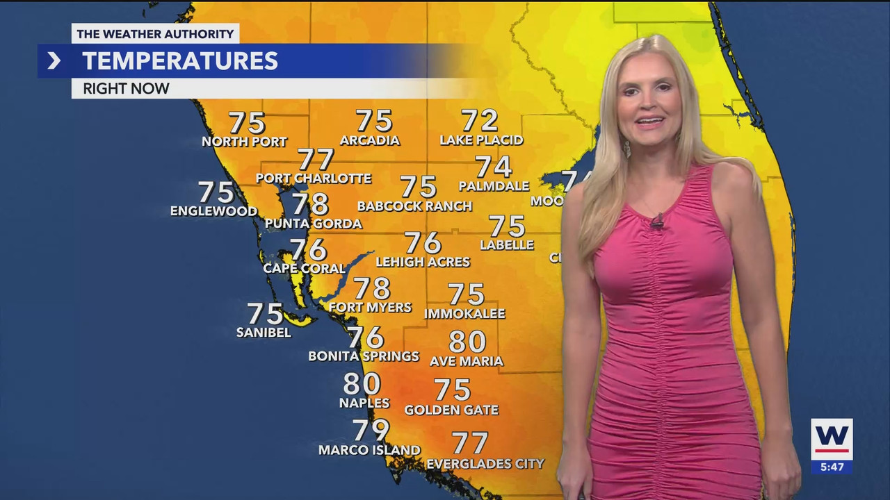 WINK News at 530pm_20241226_22302300.ts_snapshot_17.58.480