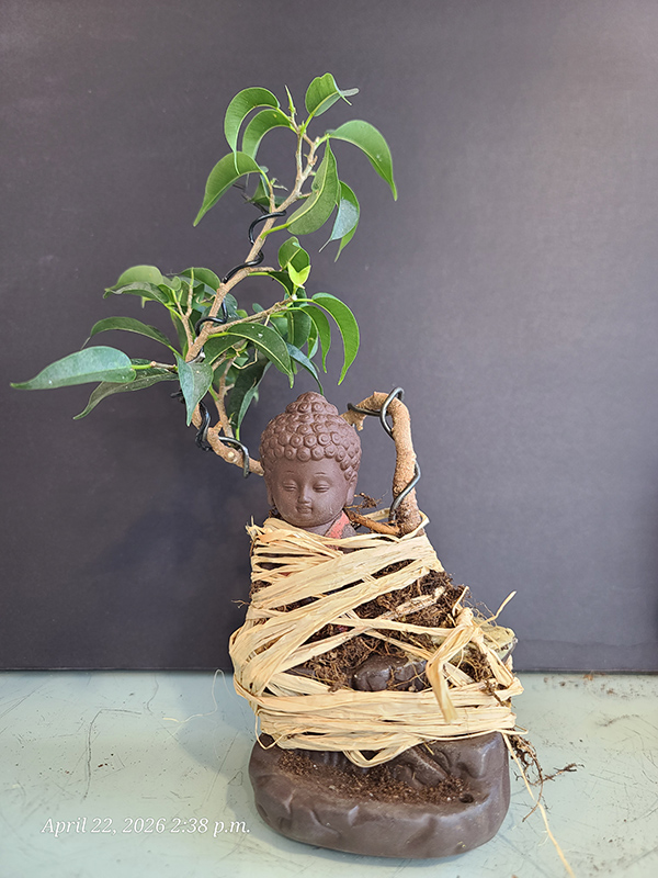 [Image: 20260422-143802.jpg]