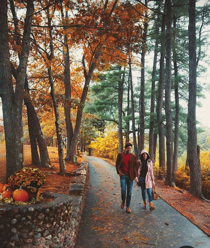 Screenshot_20230225_232340_Pinterest