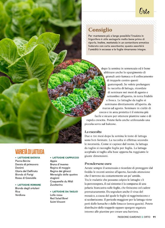 Pass Giar e Orto Apr-Mag 2025 (10)