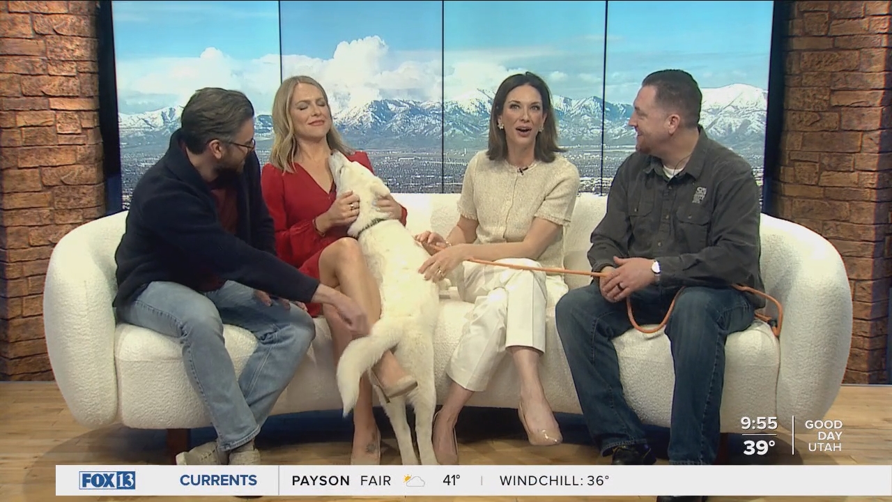 04.04 - 16.00.00 - FOX13 News  Good Day Utah 9AM  ᴺᵉʷ. Utah news, wea....ts_snapshot_00.56.59.487