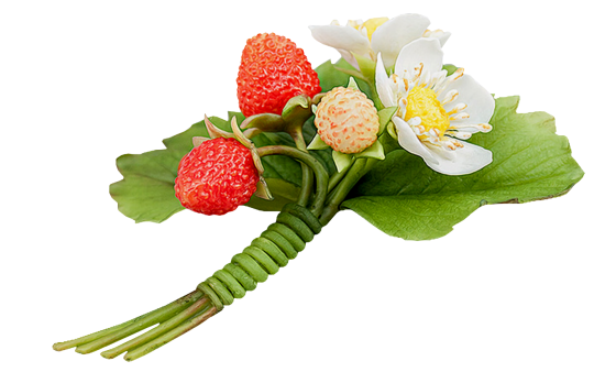 Mariposa_Kit_42