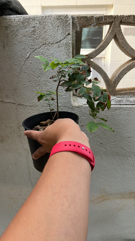 0E6C7FE5-434D-45C4-B139-0D33D31DA779