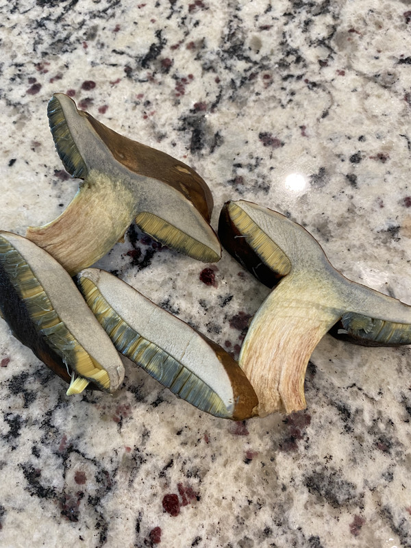 EAF3E26E-336D-4883-BD22-8D05D9BA297F