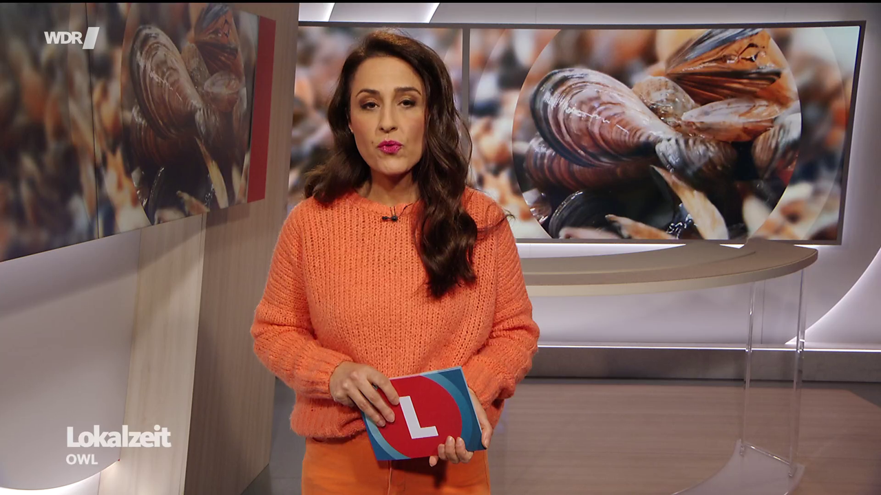 Nina Moghaddam WDR Lokalzeit OWL 11 03 2026 122X Caps 100