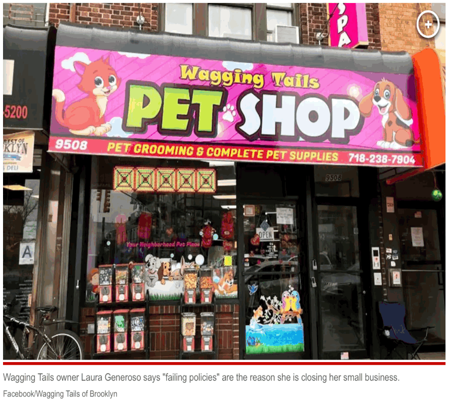 Brooklyn pet store owner closing business due to city’s ‘failing