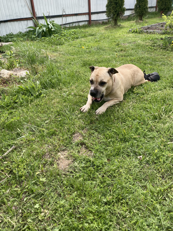 8AE8C258-57FA-42C4-82ED-0D4EAEDD28B3