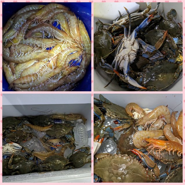 [Image: Photo-Grid-1684073369403.jpg]