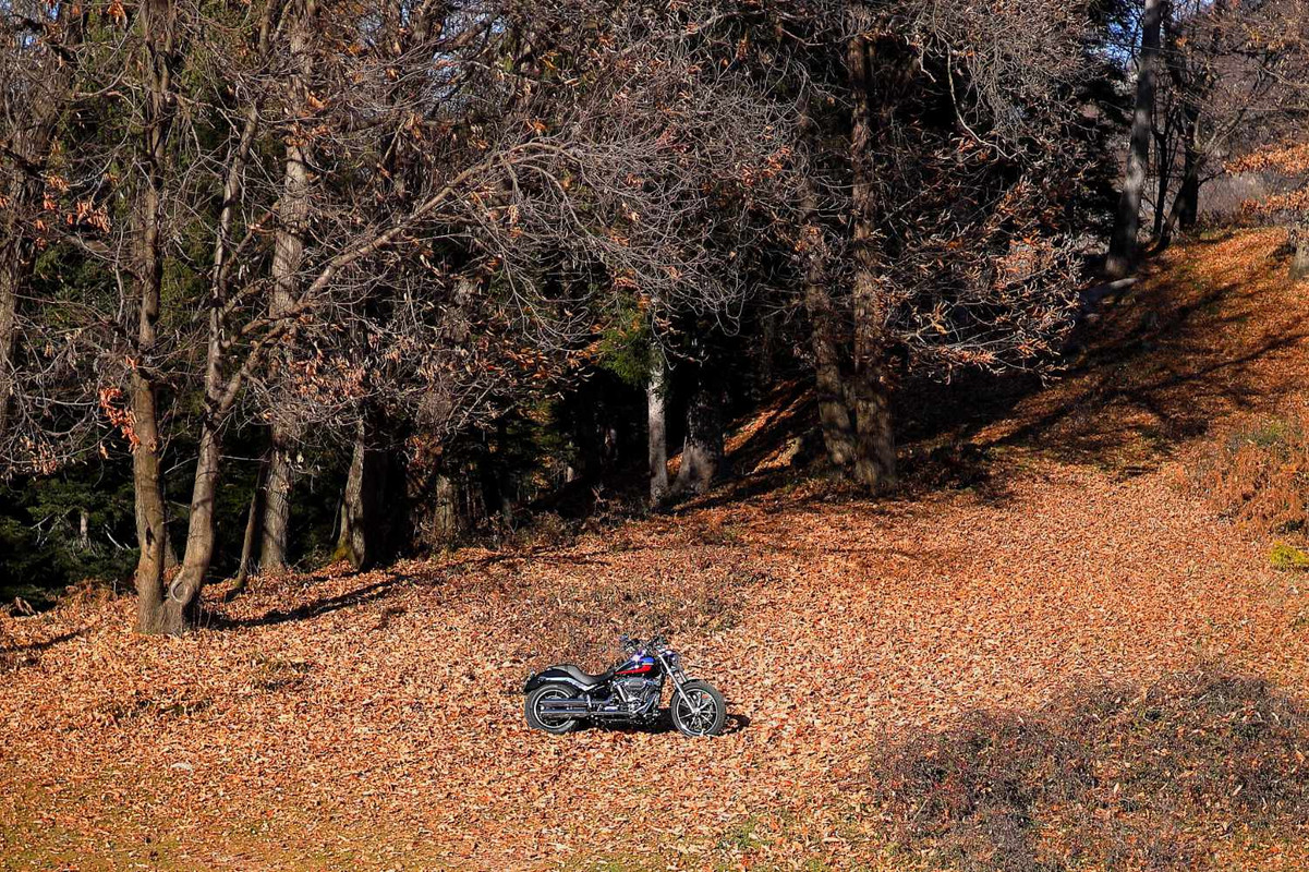 936B8D50-3265-4E93-BBF9-912728D568C6