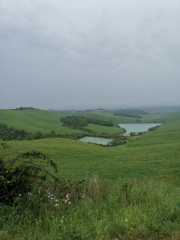 AAEC8970-B8F9-467E-A7C1-0B1115BA5510