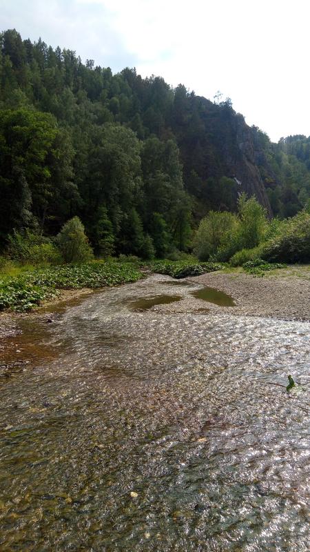 P_20180817_152411[1]