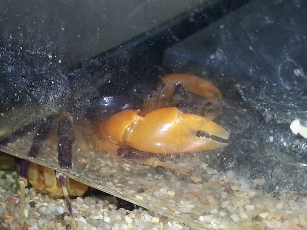 20131219_214336_Via Padre Eugenio Barsanti (600 