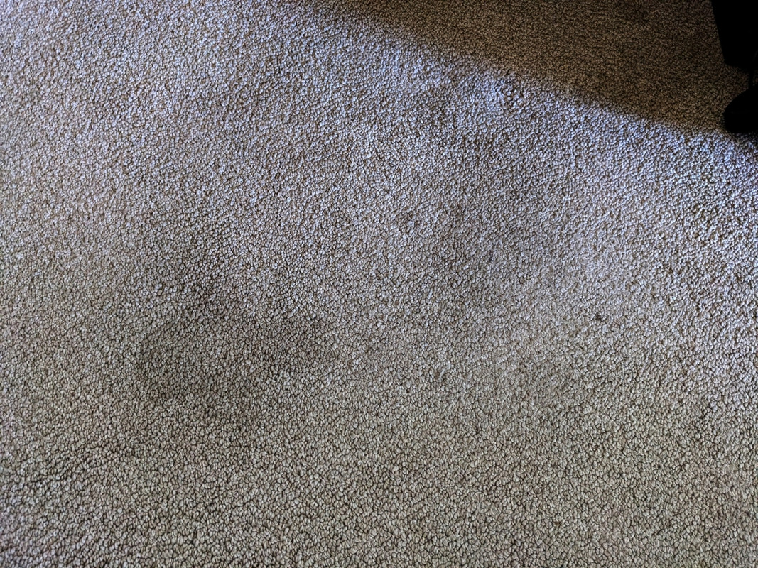 PXL_20250917_174512314 - Copy