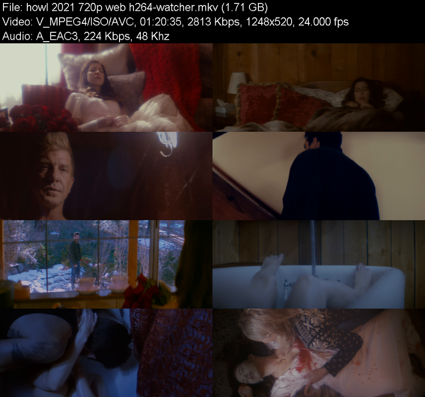 howl-2021-720p-web-h264-watcher.png