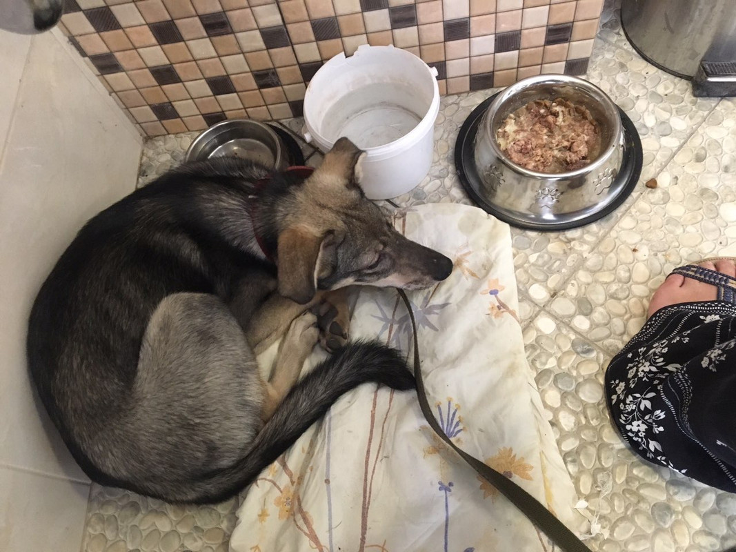 E7CDA7E0-1196-4932-845B-958E7621C0AD