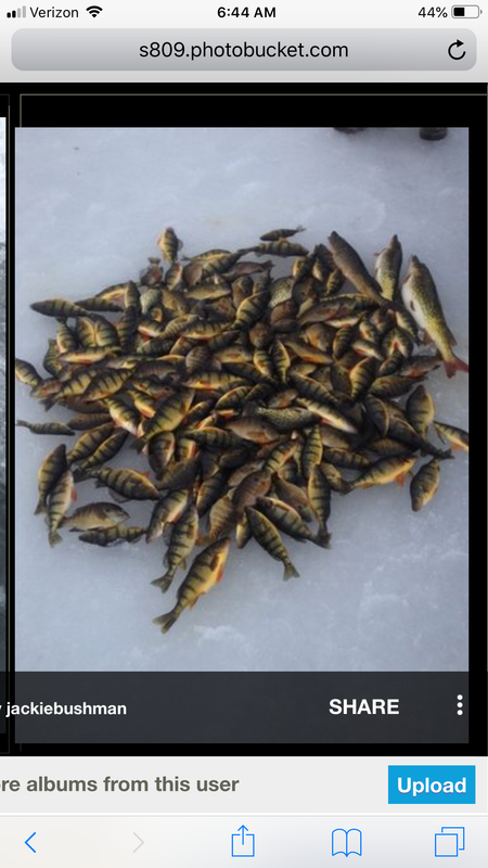 D625E077-2B78-4075-9B1C-49A08E6A33AF