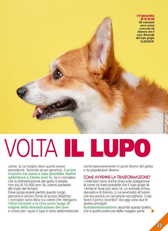 Foc Wil - Ott 2023 (4)