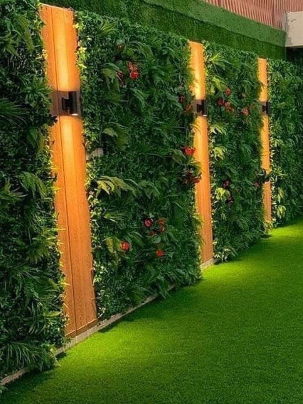 إضاءة ليلية