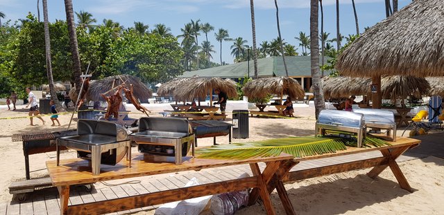Hotel Grand Sirenis Punta Cana + Samana + Cortecito - Blogs de Dominicana Rep. - DIA 7 - HOTEL GRAND SIRENIS PUNTA CANA (3)
