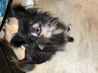 [Image: 116510-B0-5-D7-A-4610-9613-22-F2-F0965289.jpg]