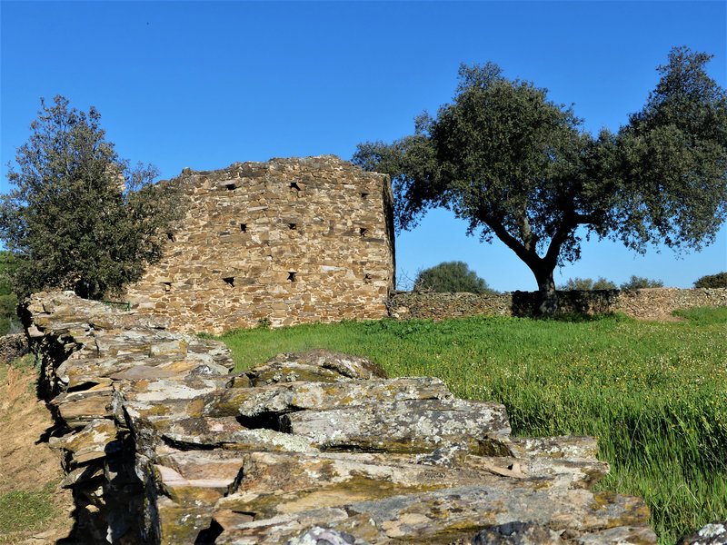 PARQUE NACIONAL DE MONFRAGÜE-2020/2023 - EXTREMADURA Y SUS PUEBLOS -2010-2023 (11)