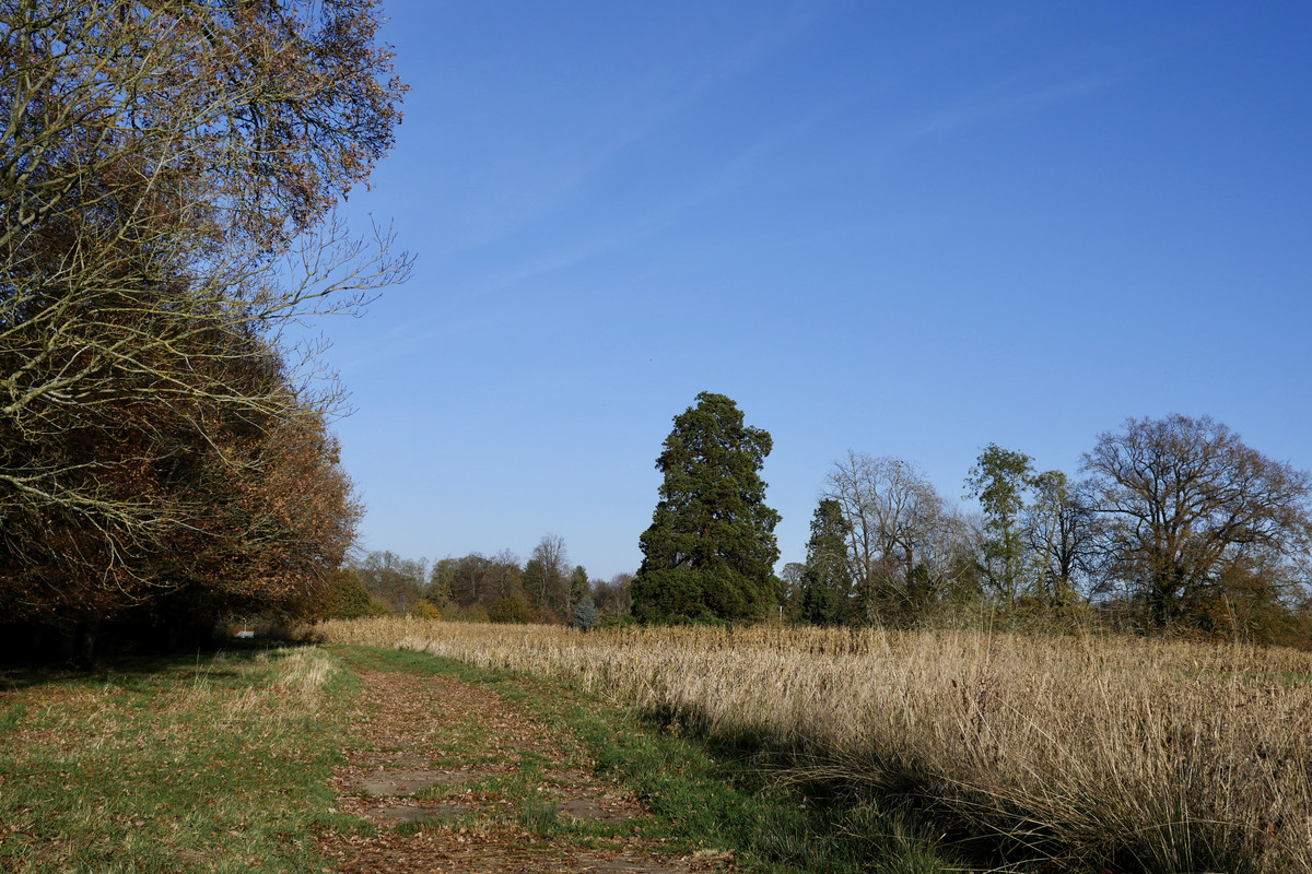 4E672DEF-C44A-4138-9699-544A879F42FA