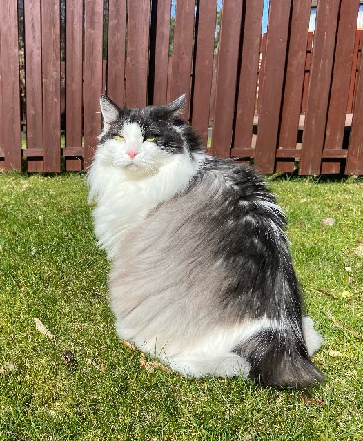 A345270-E-046-C-49-CE-A27-F-976-C560-ED7