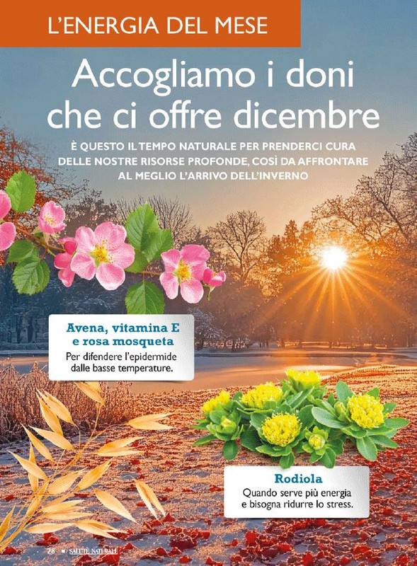 Sal Nat Dic 2025 (1)