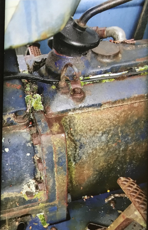 C5F4871F-FFF9-4DA4-957D-185DEFDB92B5