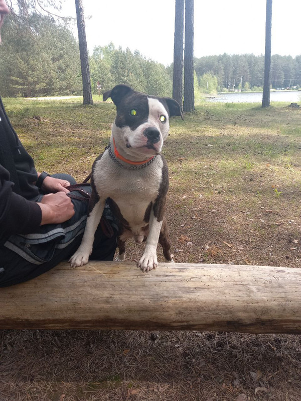 66E681A0-468F-4964-A3A4-58F18B658ED7