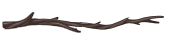 Divider-Branch4.png Divider-Branch4.png