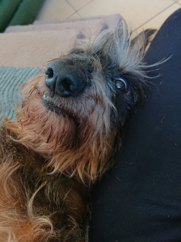 [Image: DSC-4264.jpg]