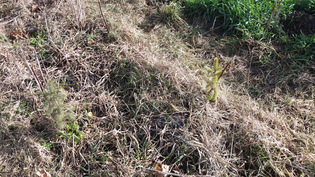 20230220_114144 - копия