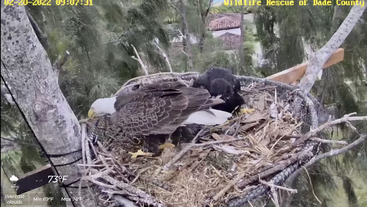 AF63D8DE-DD28-466F-BAF0-419AEC622DAA