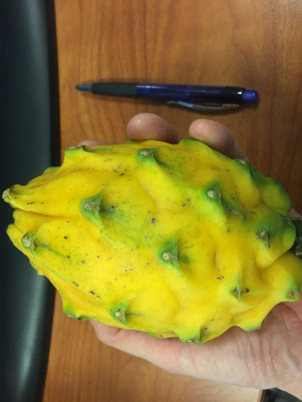 E3F544DC-D681-40C2-AF9E-88FB2987CD7C