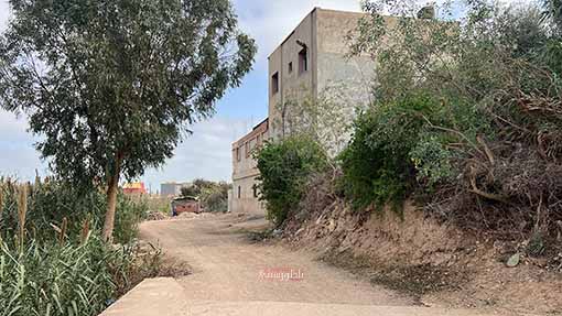 image00009