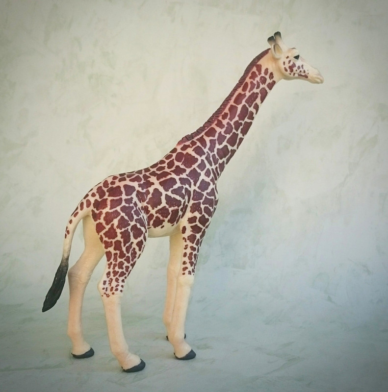 Mojo 2020 - Masai Giraffe 20200627-130213