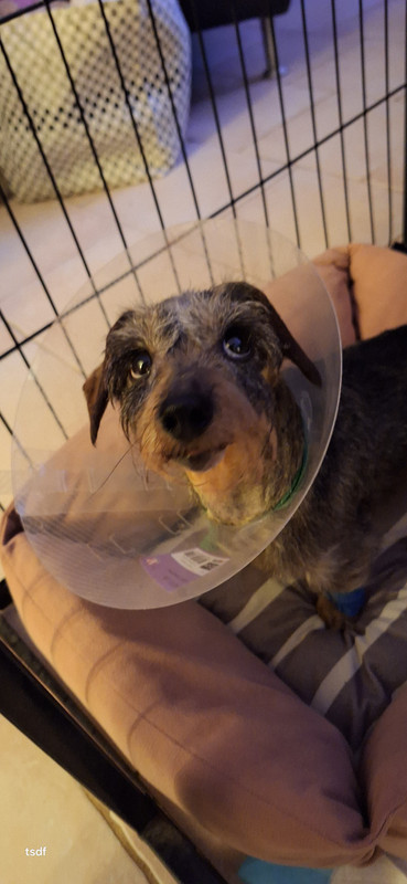 [Image: 20250221-205103.jpg]